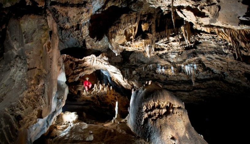 Hotel CROCUS **** Vysoké Tatry